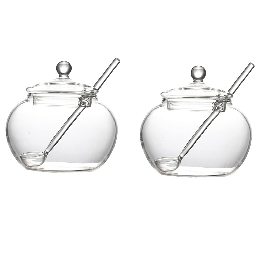 Honey Pot with Dipper Spoon - Glass Jar for Kitchen Storage, Tea & Spices