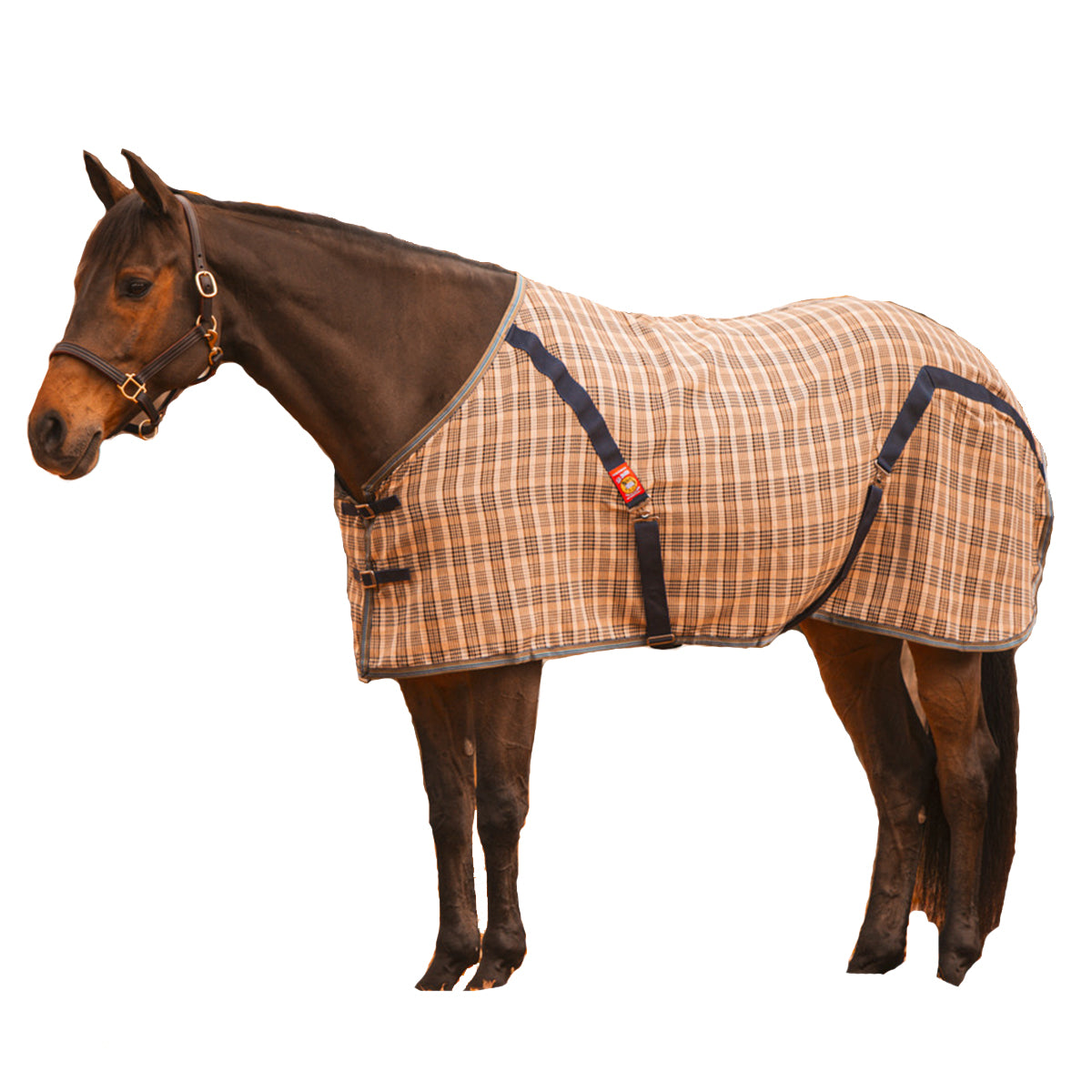 Baker Plaid