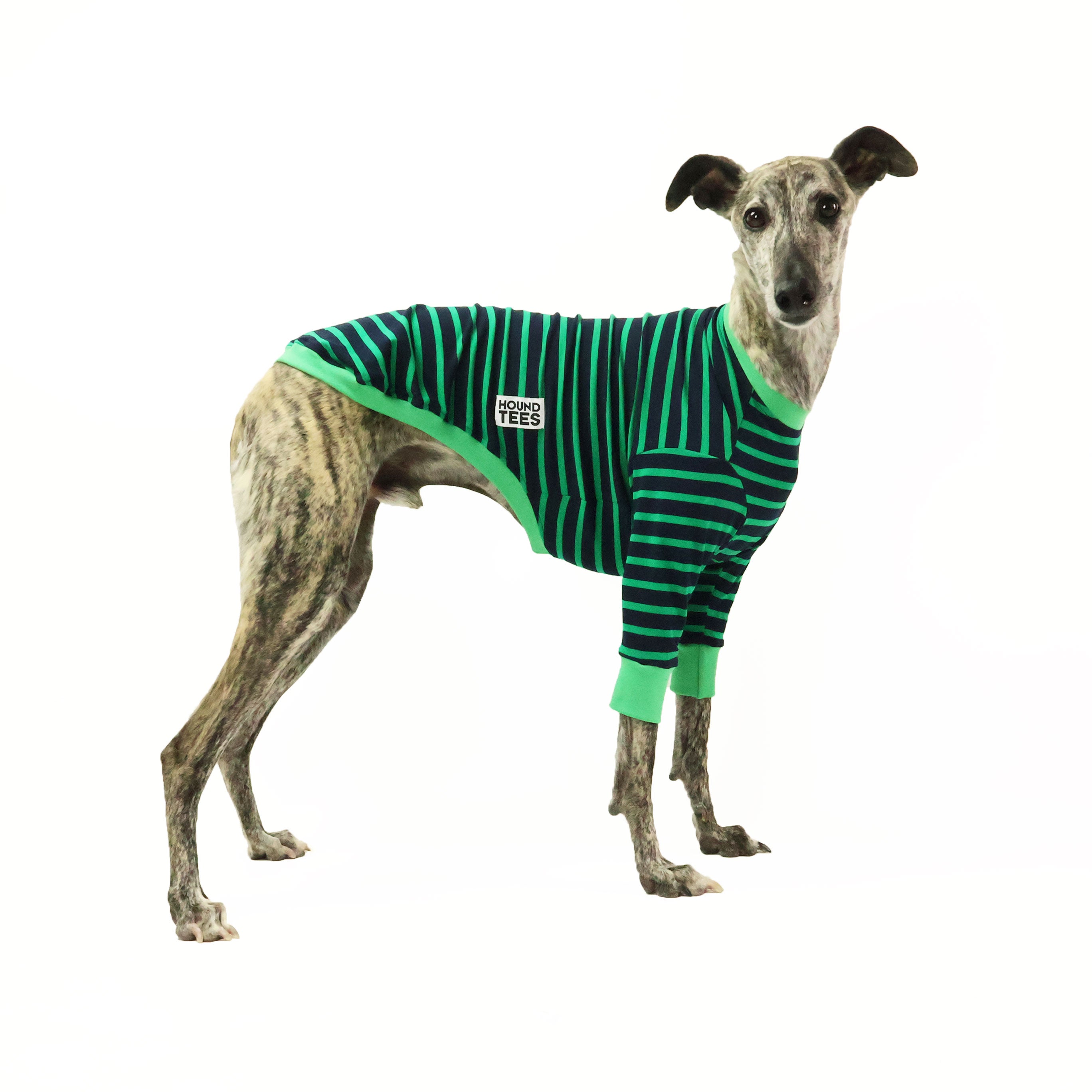 Kermit Whippet Dog Long Sleeve T-Shirt for Hounds - Comfortable Pet Apparel for Walking, Running & Outdoor Adventures