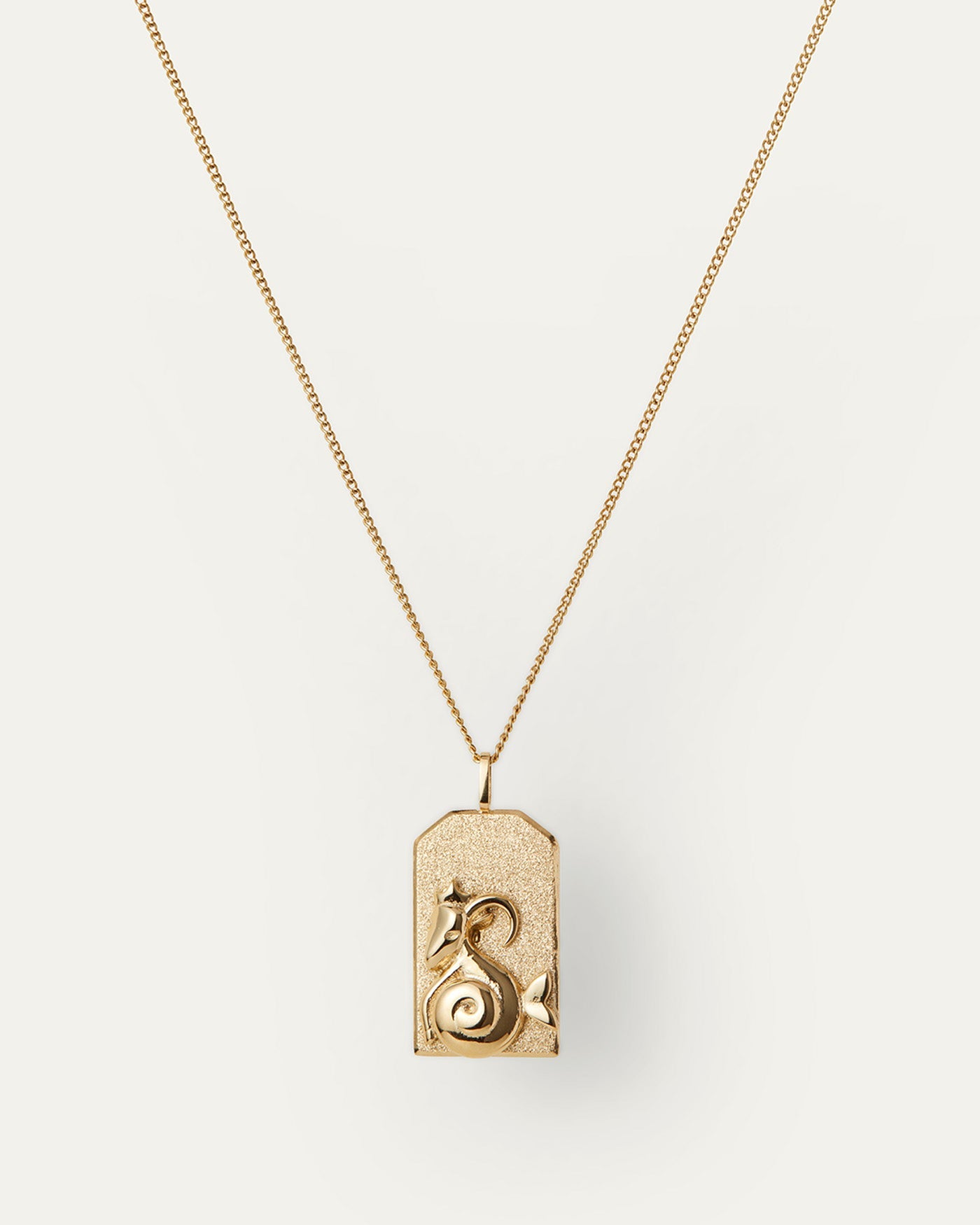 Capricorn Zodiac Pendant Necklace - Sterling Silver Horoscope Jewelry for Women - Perfect Birthday Gift & Daily Wear
