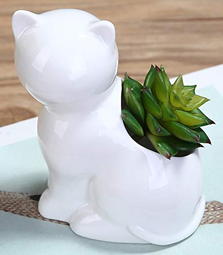 Adorable Ceramic Cat Succulent Pots - Mini Cactus & Flower Planters in White - Perfect for Home Decor, Office Desk & Gift Ideas