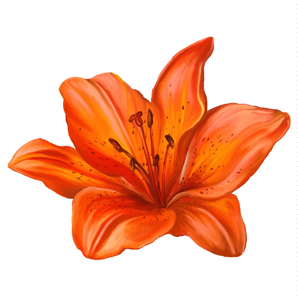 Tiger Lily Flower Vinyl Decal - 3 Inch Wide Printed Sticker for Cars, Laptops, MacBook Pro - Waterproof Decorative Sticker for Windows, Notebooks, Phones, DIY Crafts
