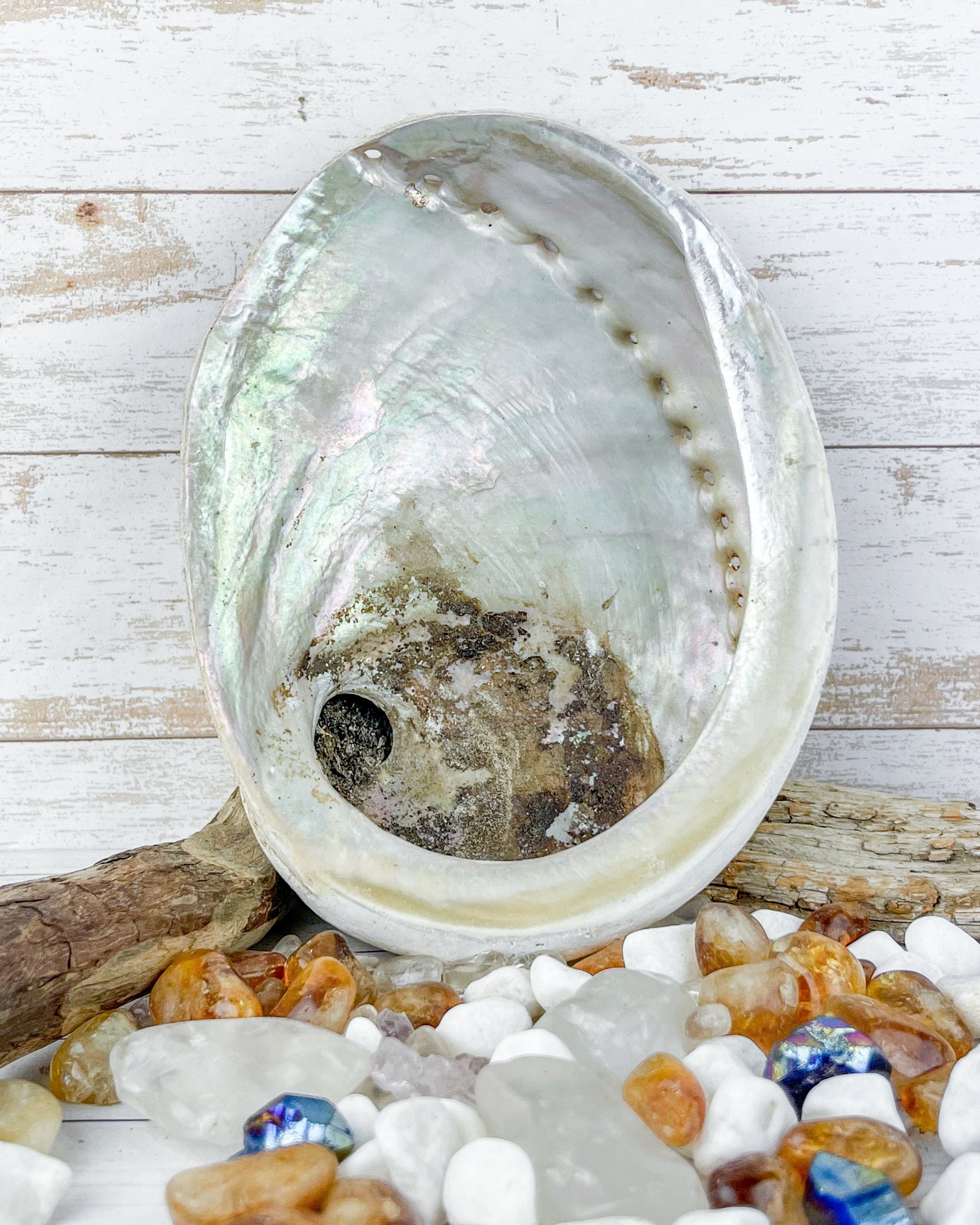 Natural Abalone Shells for Jewelry Making, Home Decor & Crafts – Perfect for DIY Projects, Beach Wedding Decor, and Zen Garden Accents
