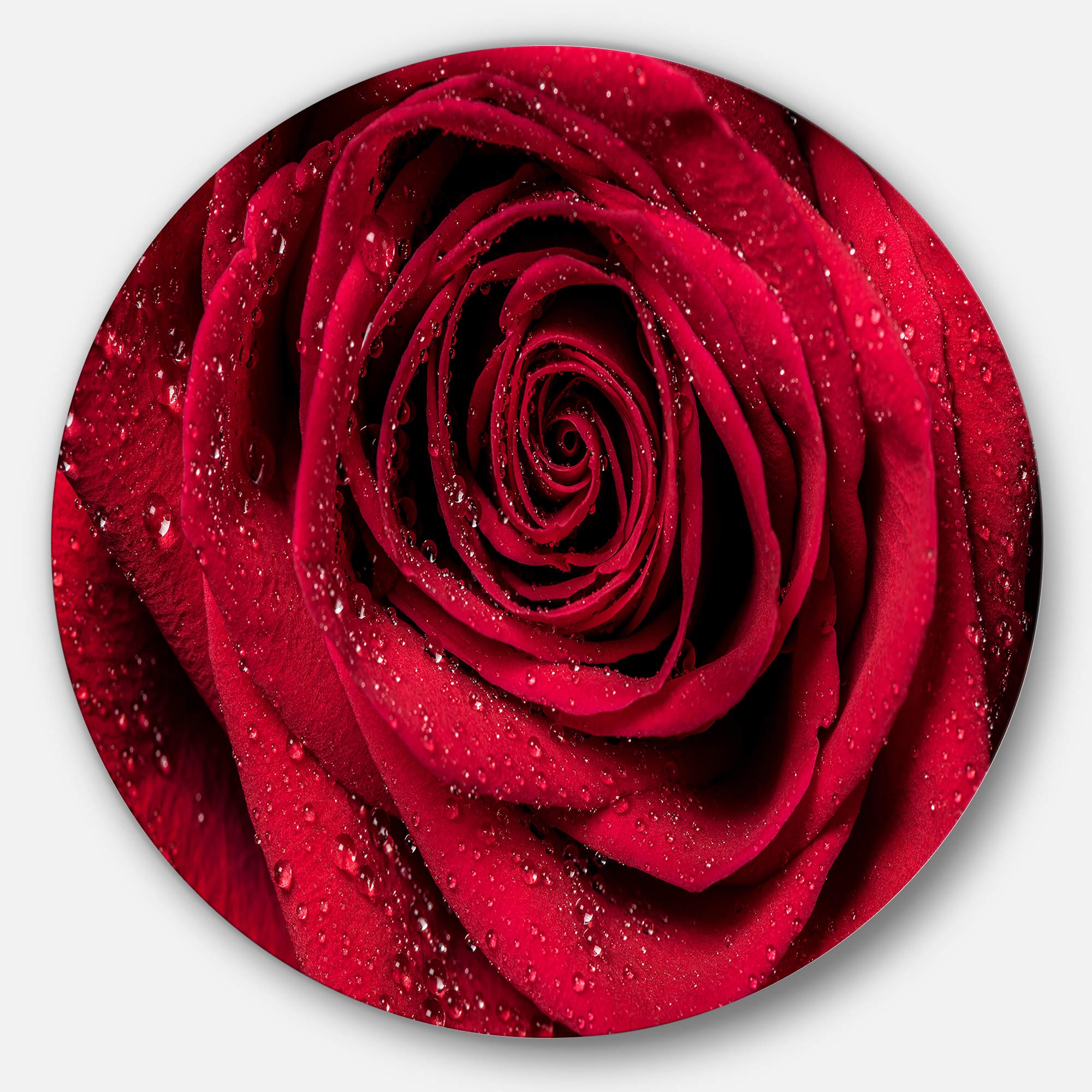 DesignArt Round Metal Wall Art - Red Rose Petals with Rain Droplets, Ultra Glossy Floral Decor for Living Room, Bedroom & Office