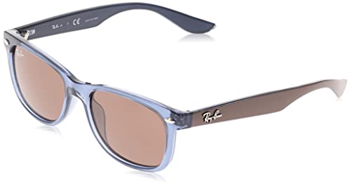 Transparent Blue/Dark Brown