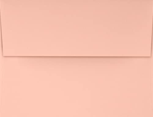 Blush Pink