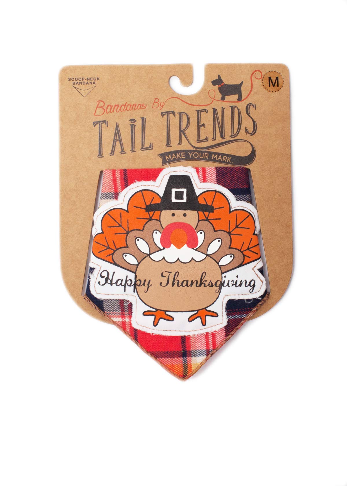 Thanksgiving Dog Bandanas for Medium to Large Dogs - Cute Turkey Plaid Design - 100% Cotton Pet Bandana for Holiday Photos & Family Gatherings