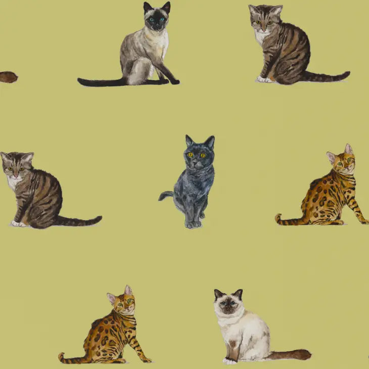 Premium Cat Breeds Wrapping Paper - 12 Unique Designs for Gift Wrapping, DIY Crafts & Party Decorations - Perfect for Birthday Presents, Christmas Gifts & Cat Lovers