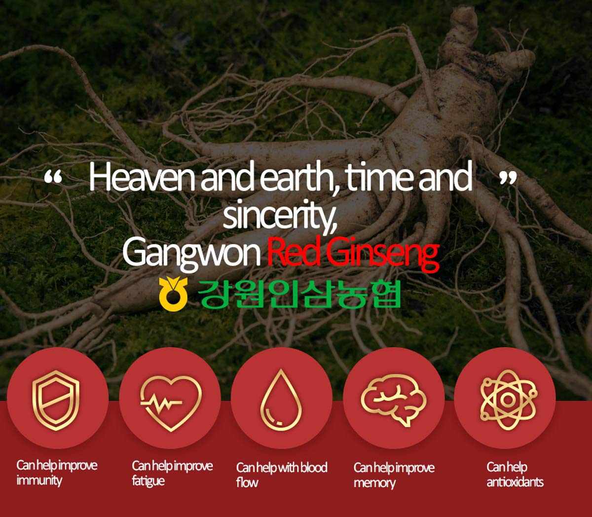 Premium Korean Red Ginseng Extract - 100% Pure 6-Year-Old Ginseng Root (240g/8.46oz) with Ginsenosides for Energy & Immunity Boost - Perfect for Daily Wellness & Stress Relief