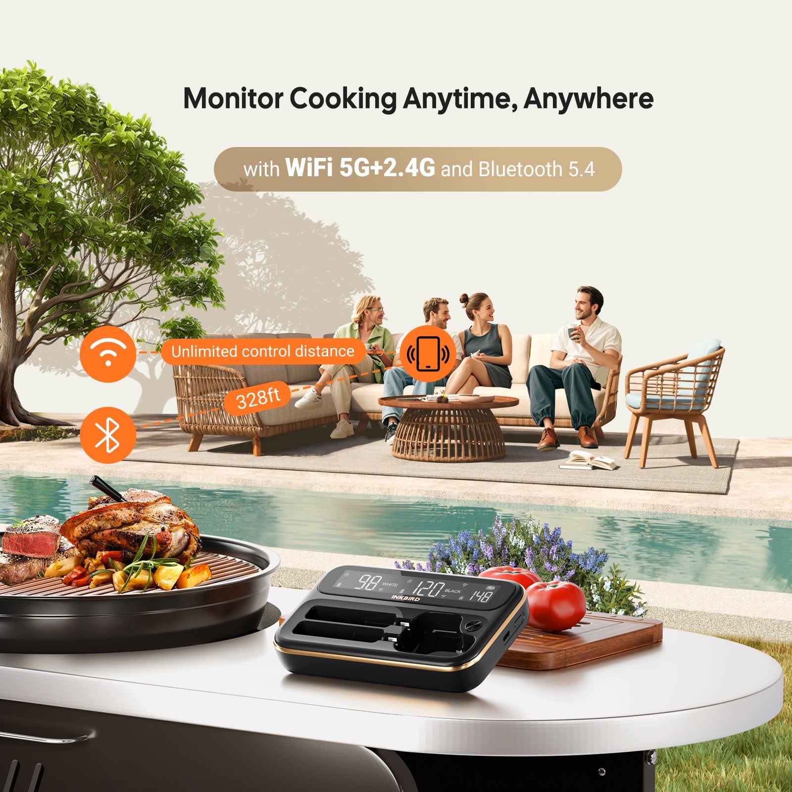 Wireless Meat Thermometer with WiFi & Bluetooth - Digital Cooking Thermometer for Grilling, Smoking, BBQ - INT 12 BW - Perfect for Indoor & Outdoor Cooking