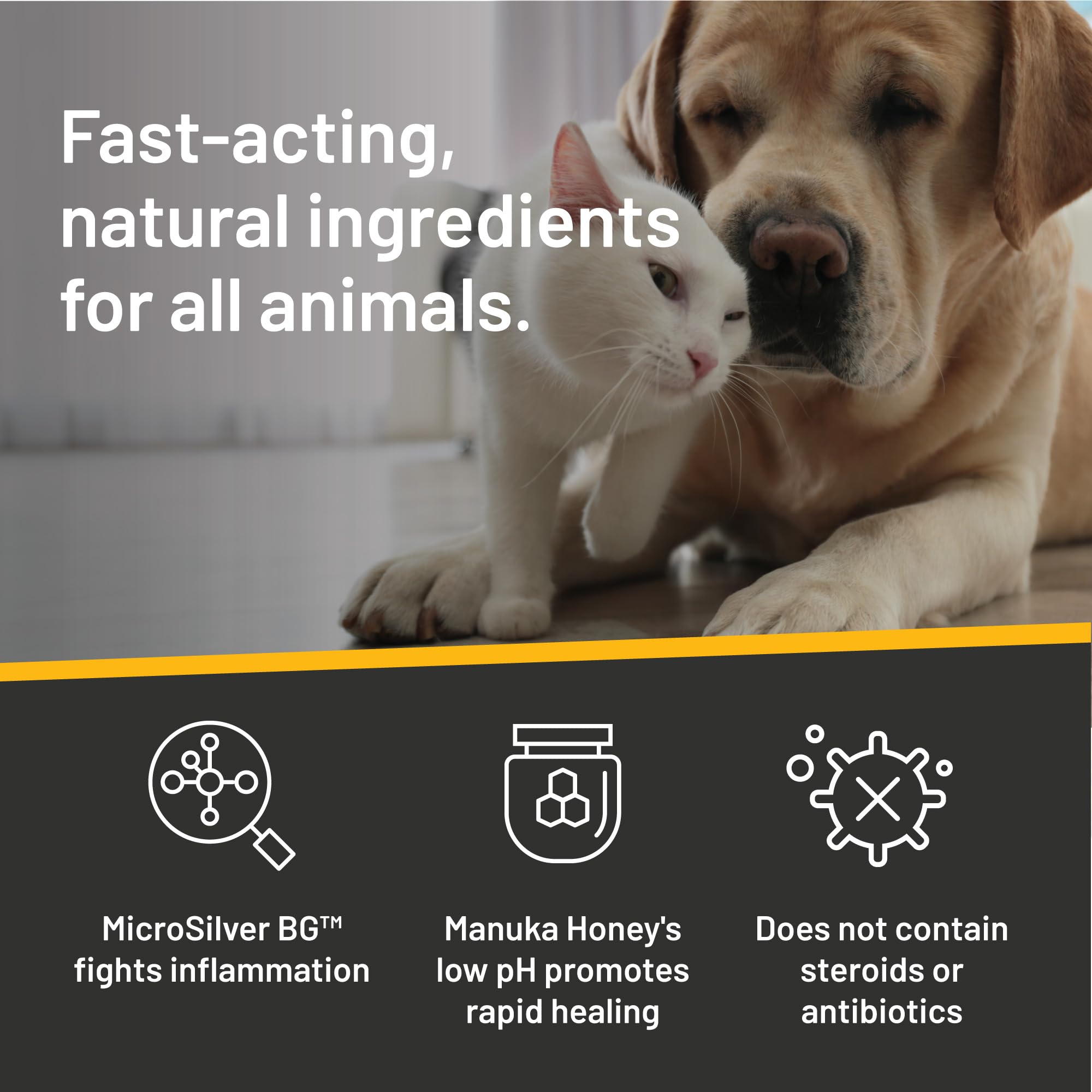 Absorbine Silver Honey Wound Care for Pets - Hot Spot Ointment & Spray Gel with Manuka Honey