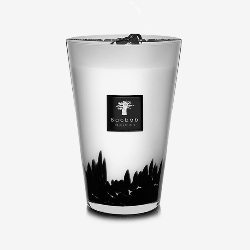 Baobab Collection Black Feathers Scented Candle - Luxury Home Fragrance for Relaxation, Meditation & Romantic Ambiance