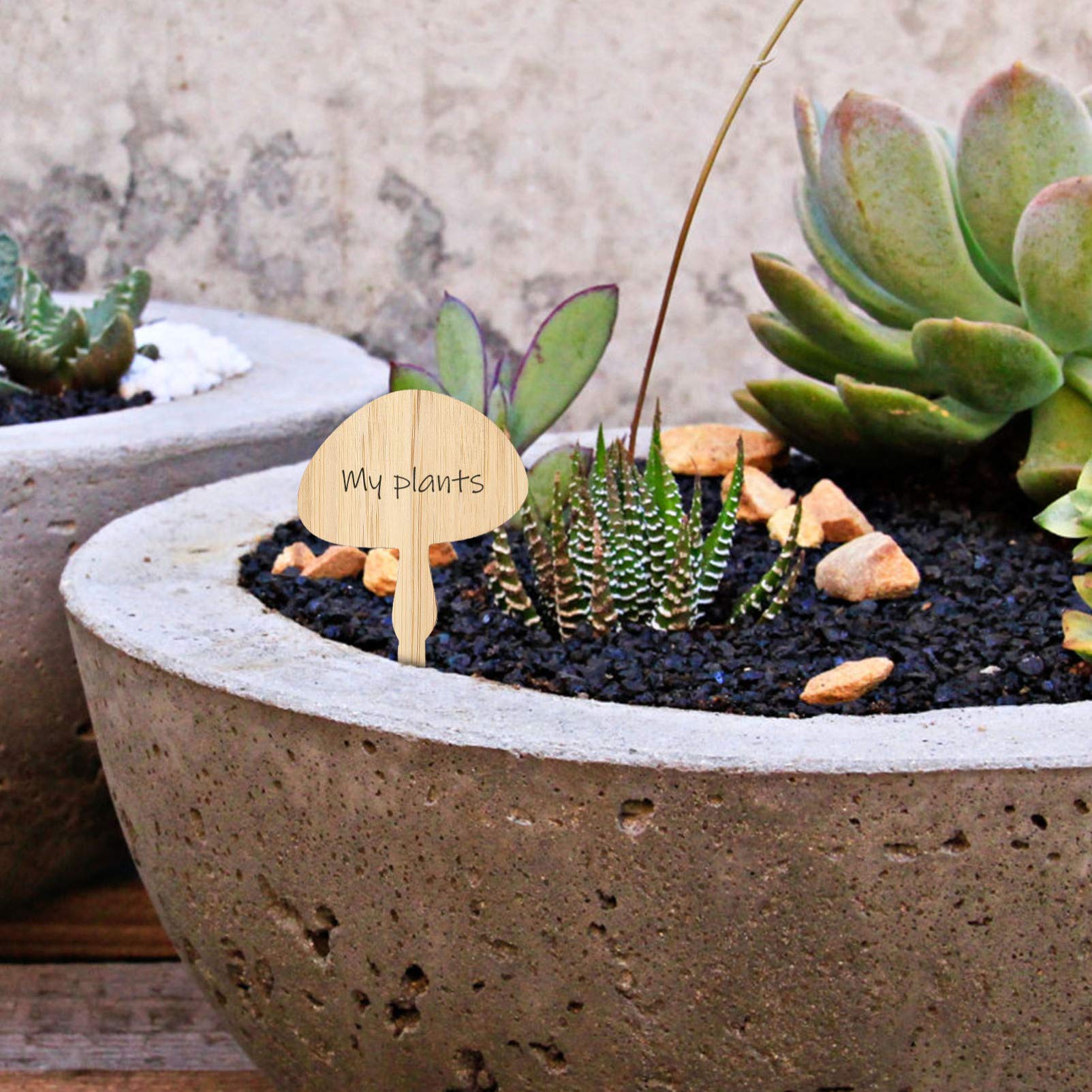 30pcs Bamboo Plant Markers - Reusable Garden Labels for Succulents, Flowers & Herbs | Perfect for Indoor/Outdoor Gardening, Seed Starting & Plant Organization