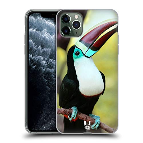 White Throated Toucan