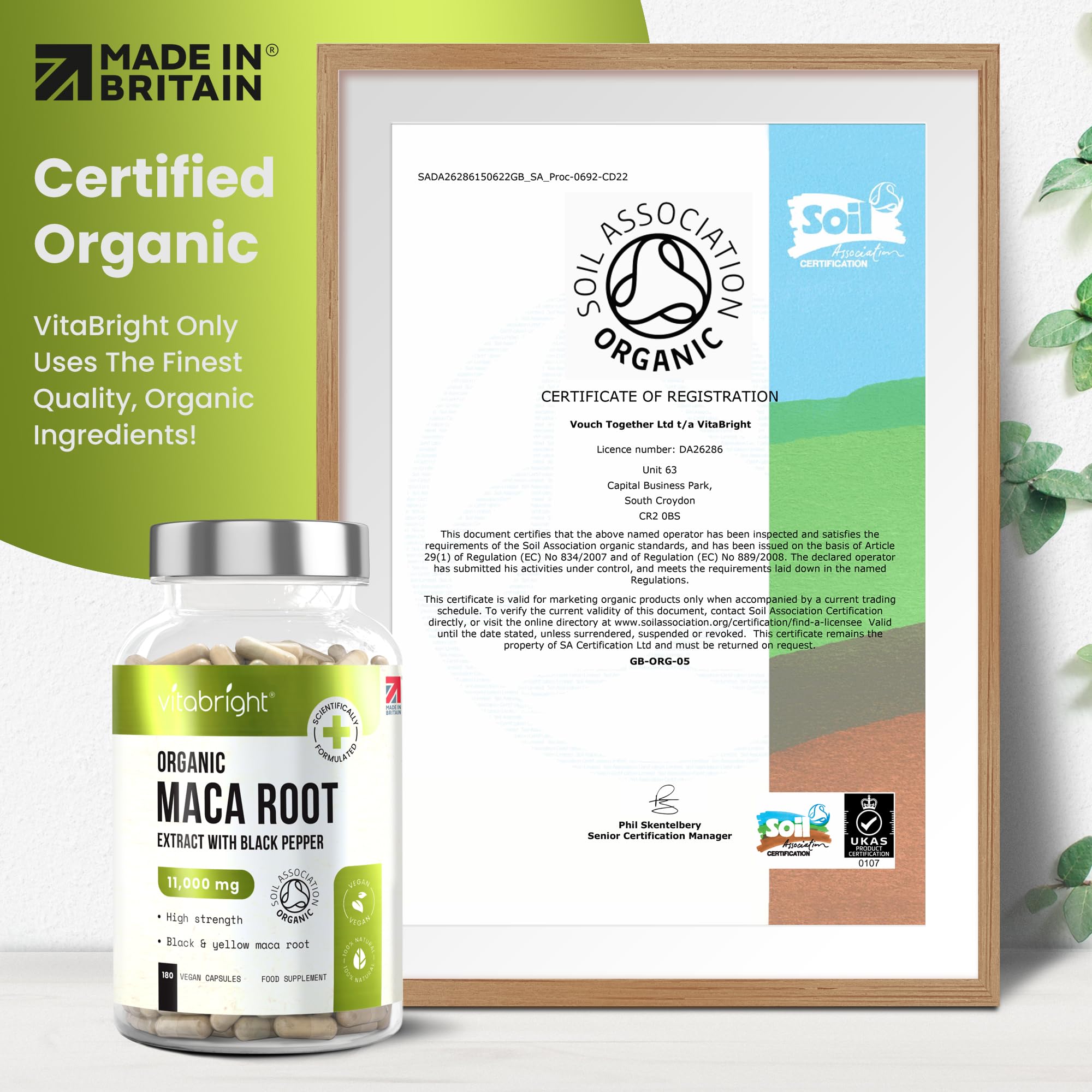 Premium Black Maca Root Capsules 11,000mg - Organic Peruvian Maca Powder Extract for Men & Women (180 Count) - Supports Energy, Fertility & Vitality - Perfect for Daily Wellness & Natural Performance Enhancement