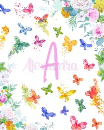3-colorful Butterfly