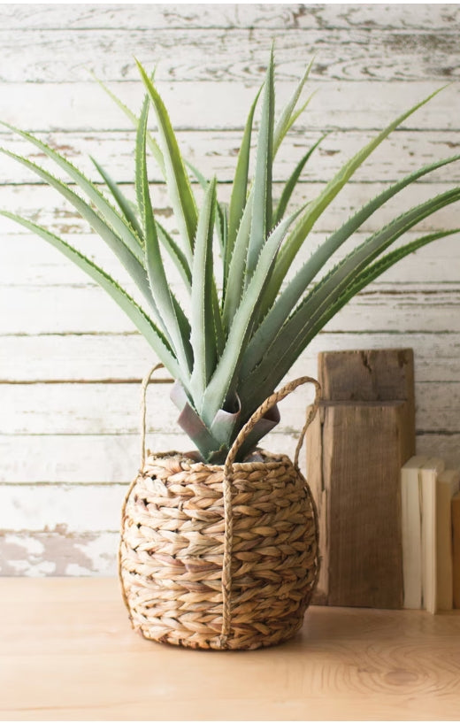 Artificial Aloe Plant in Woven Seagrass Pot - Realistic Fake Succulent for Home Decor, Office Desk, or Shelf Styling