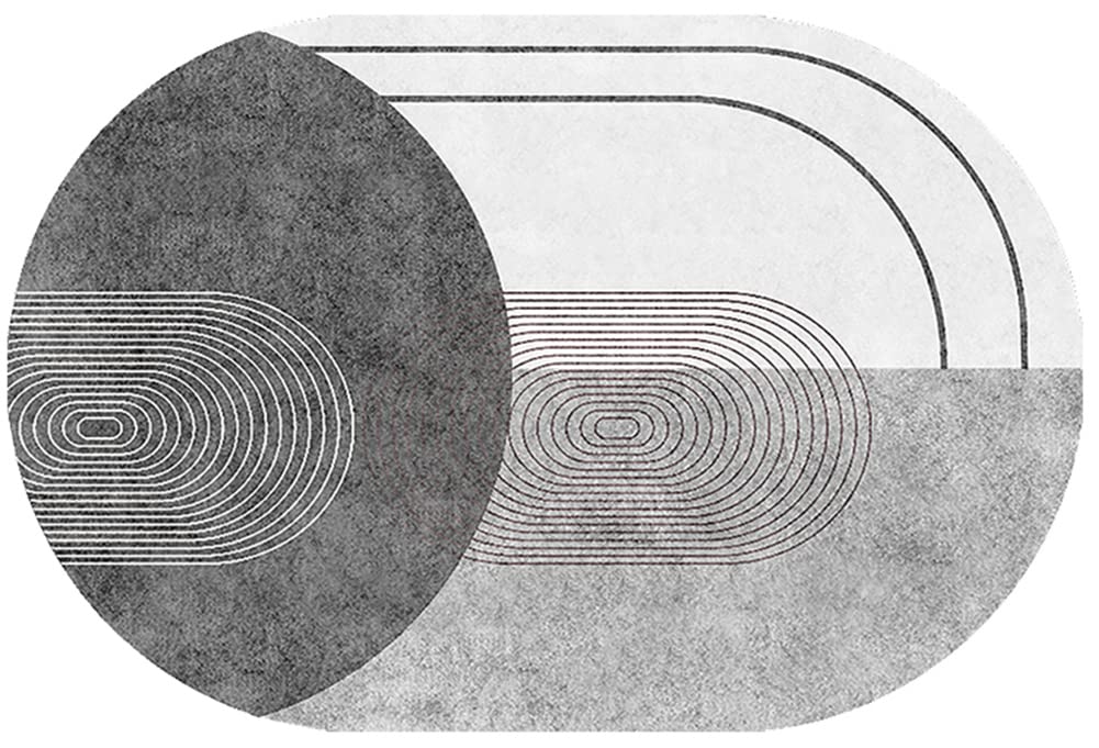 Modern Echo Circle Geometric Area Rug 6x8ft - Gray Illusion Carpet for Living Room, Bedroom & Dining Room - Luxury Washable Indoor/Outdoor Accent Floor Decor - Perfect for Kitchen, Laundry & Bathroom Mats