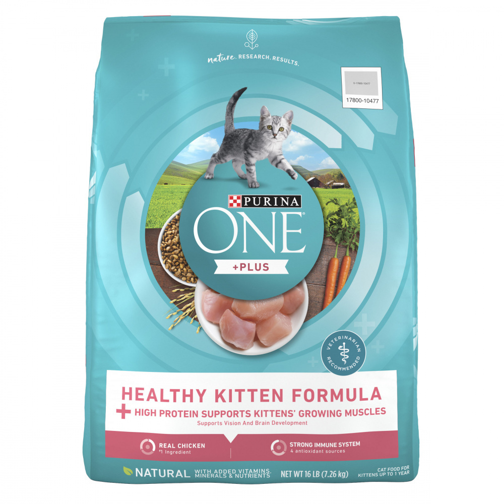 Purina ONE +Plus Healthy Kitten Dry Cat Food - High Protein, Natural Ingredients for Growing Kittens - Perfect for Indoor & Outdoor Cats, Supports Immune System & Digestive Health