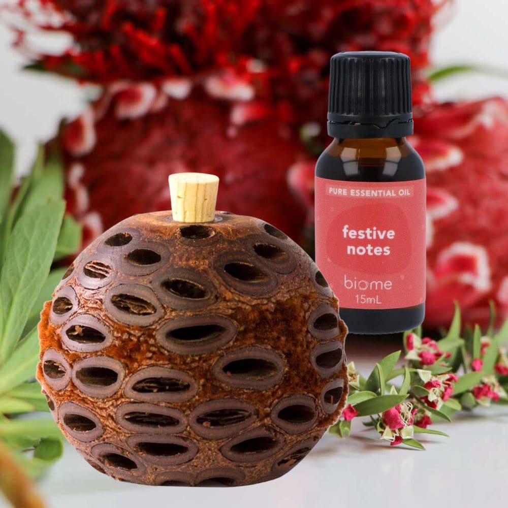 Natural Banksia Pod Bundle for Home Fragrance | Aromatherapy Essential Oil Diffuser | Perfect for Living Room, Bedroom & Spa Relaxation