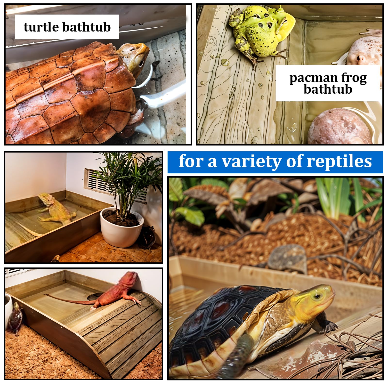 3pcs Tortoise Food Dish with Ramp & Basking Platform - Leaf-Shaped Reptile Water & Food Bowls for Turtles, Amphibians - Perfect for Aquatic & Land Reptile Habitats, Terrariums & Outdoor Enclosures