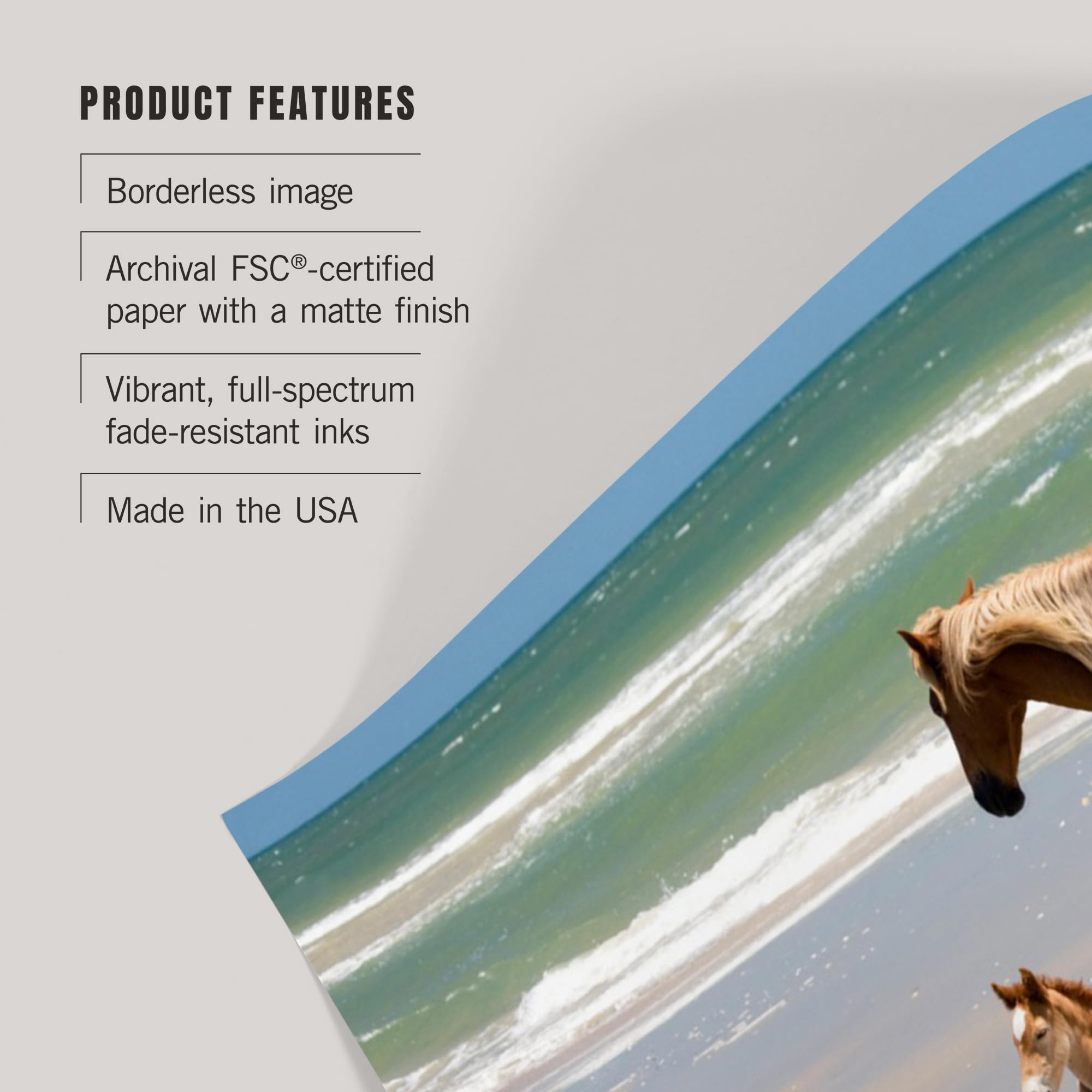 Lantern Press 36x54 Inch Giclee Art Print - Corolla Wild Horses on Beach Wall Decor | Banker Pony & Foal Coastal Art | Perfect for Living Room, Bedroom & Office Decor