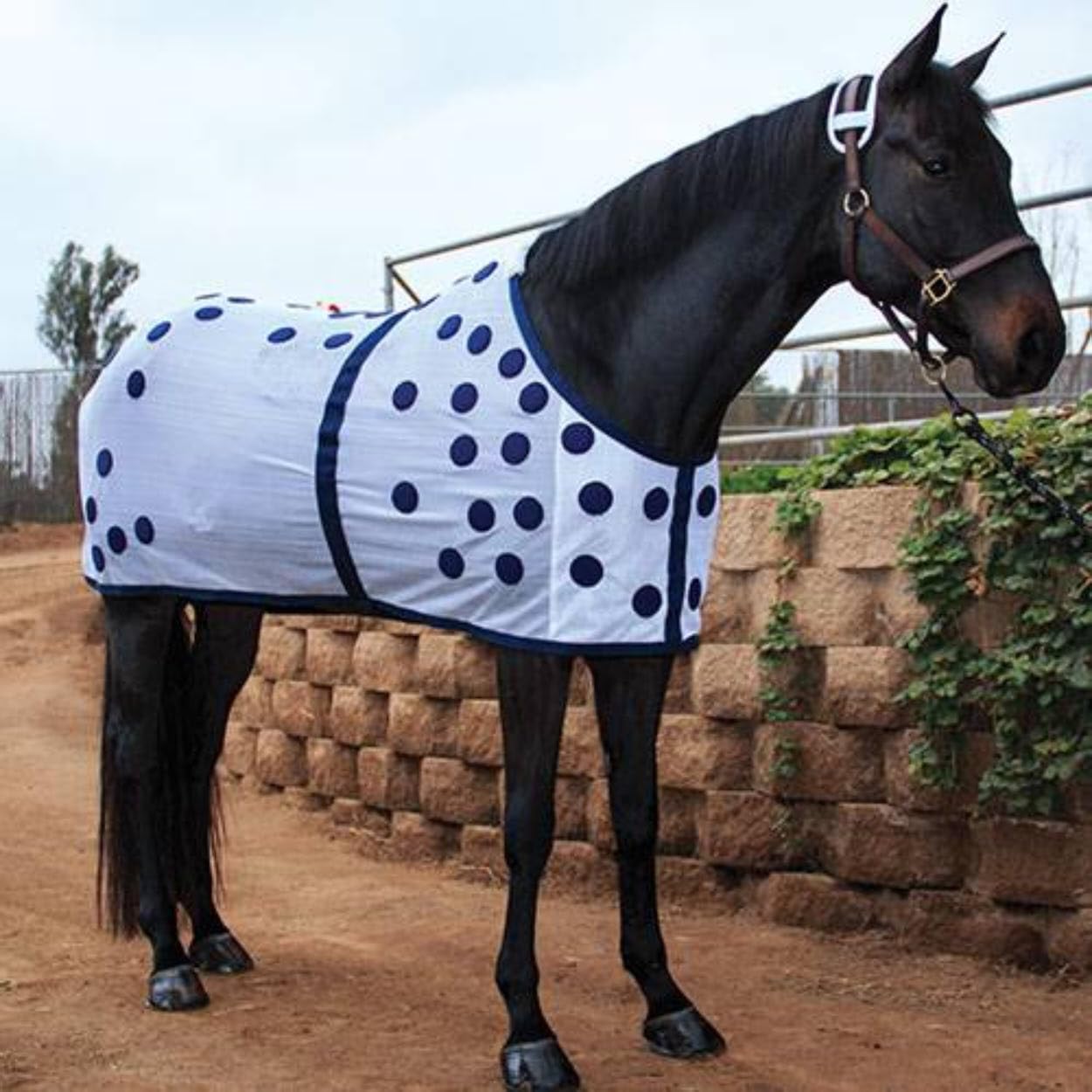 Professional's Choice Magnetic Blanket 74
