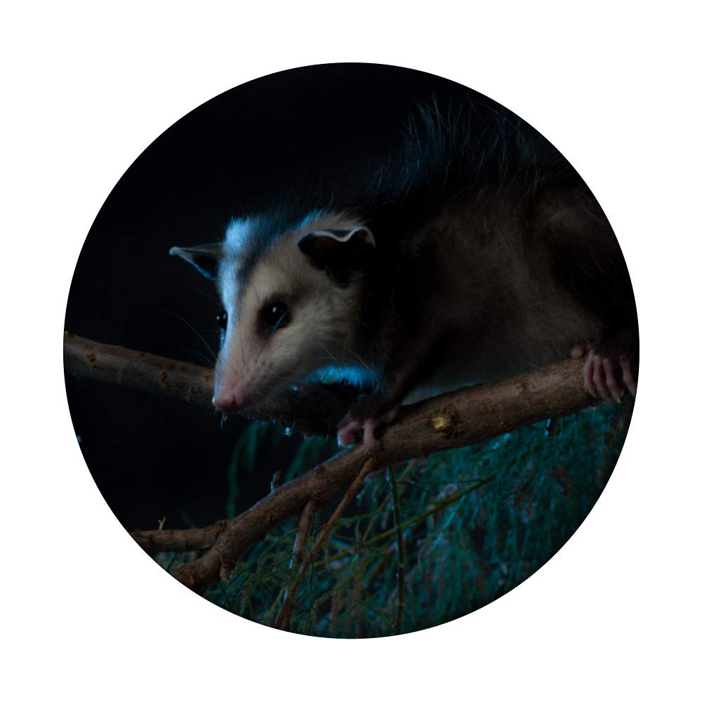 Opossum PopSockets PopGrip - Swappable Phone Grip for iPhone, Samsung & Tablets | Cute Animal Design for Secure Holding, Perfect for Selfies, Gaming & Everyday Use