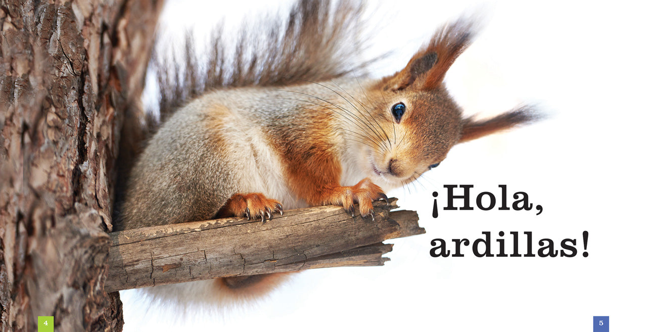 Las Ardillas 9781640260955 - Squirrels Book for Kids | Wildlife Education & Fun Facts | Perfect for Classroom Learning & Nature Exploration