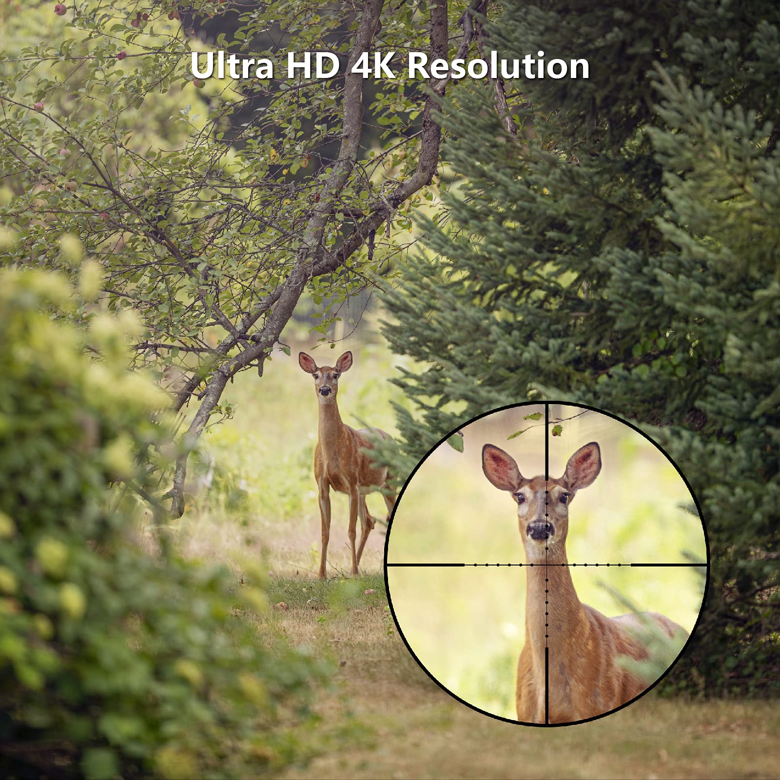 RunCam 4K Hunting Action Camera - Waterproof Shockproof ScopeCam2 with Pica-Tiny Rail Mount | Zoom Lens for Hunting, Airsoft, Paintball & Tactical Training | Perfect for Outdoor Adventures, Wildlife Observation & Shooting Sports