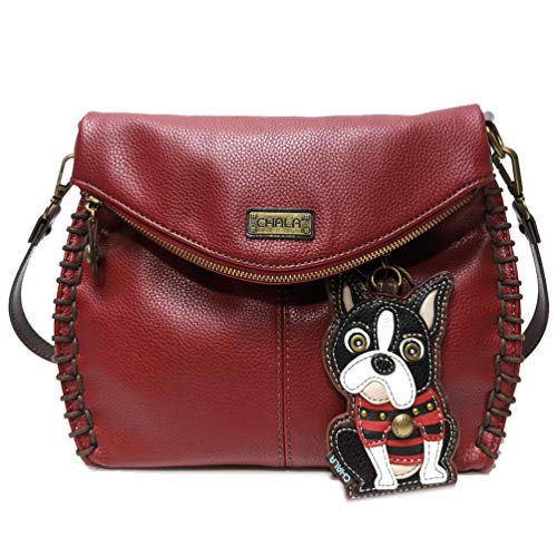 Boston Terrier
