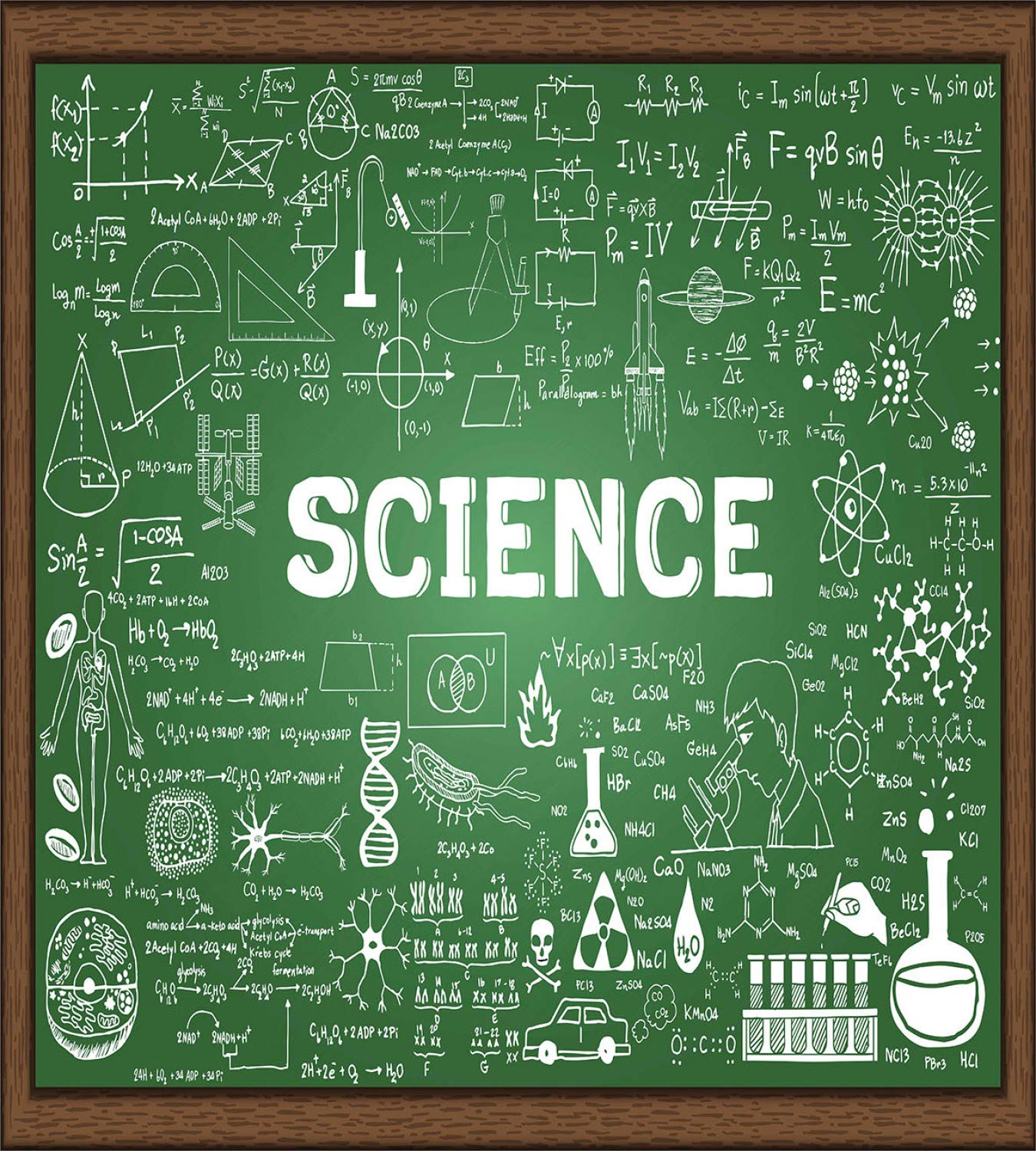 Ambesonne Biology Duvet Cover Set - Hand-Drawn Science Board Graphic 3-Piece Bedding with 2 Pillow Shams, California King Size in Green Brown & White | Perfect for Science Lovers, Teachers & Students Bedroom Decor