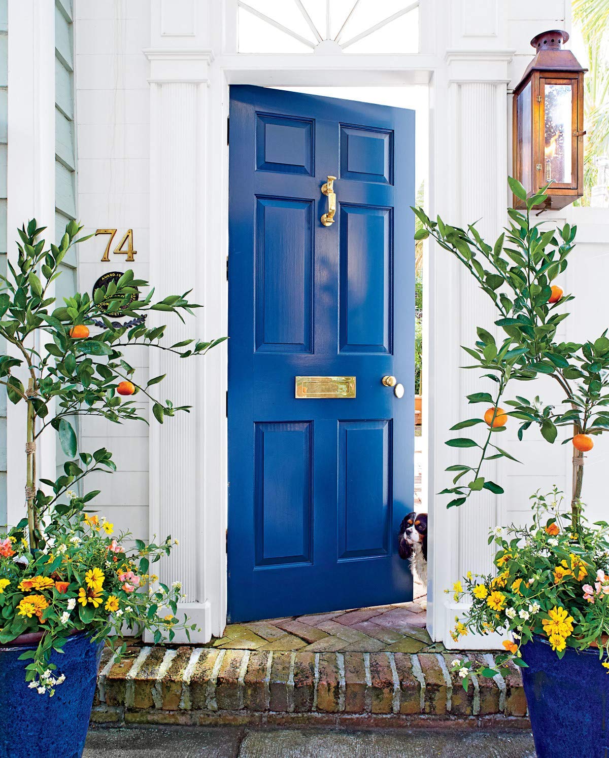 THE ONE Paint & Primer: Most Durable All-in-One Interior & Exterior Paint for Furniture, Cabinets, Doors, Walls - Fast Drying Water-Based Paint for Bathroom, Kitchen, DIY Projects (Blue, Satin Finish, 8.5oz) - Perfect for Home Renovation, Furniture Upcycling & Craft Painting