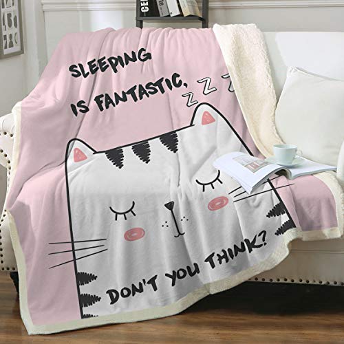 Sleeping Cat