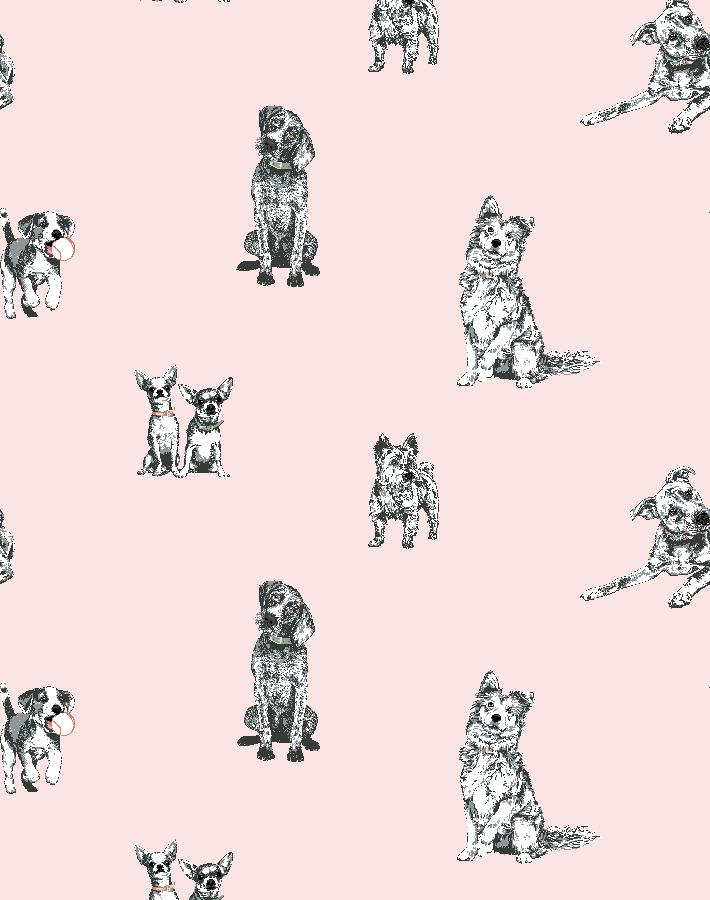 Nathan Turner Pink 'Mutts' Wallpaper - Vintage Floral Peel & Stick Wallpaper for Bedroom, Nursery, or Home Decor