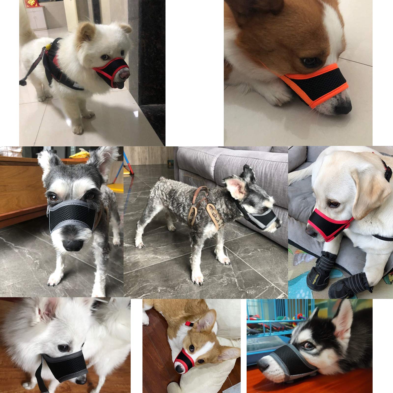 Adjustable Dog Muzzle for Small & Medium Dogs - Anti Biting & Barking Pet Mouth Cover (XS, Black) - Perfect for Training, Grooming & Vet Visits