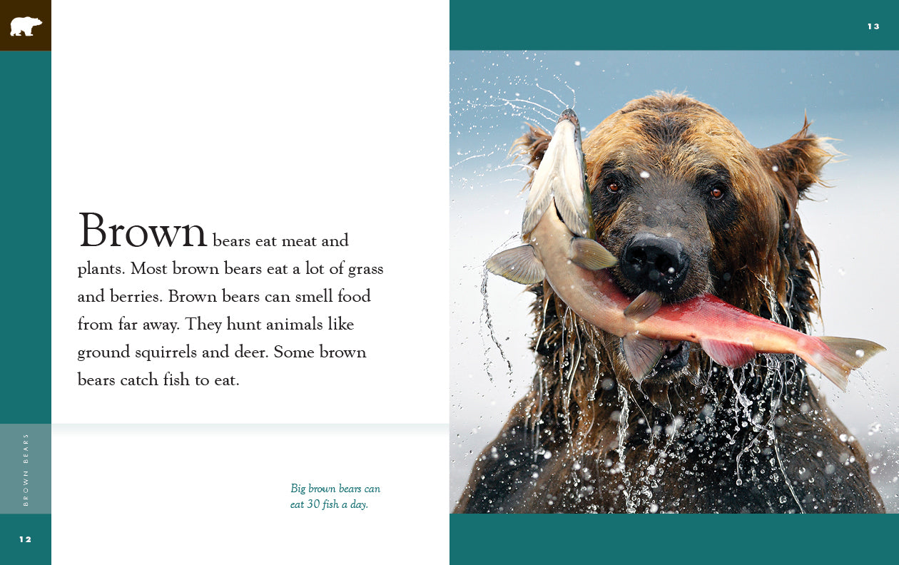 Brown Bears Book 9781640265400 - Wildlife Education & Nature Exploration for Kids & Adults