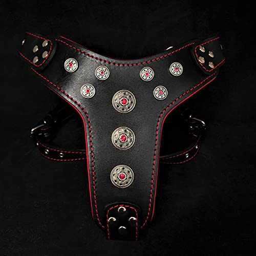 Black & Red