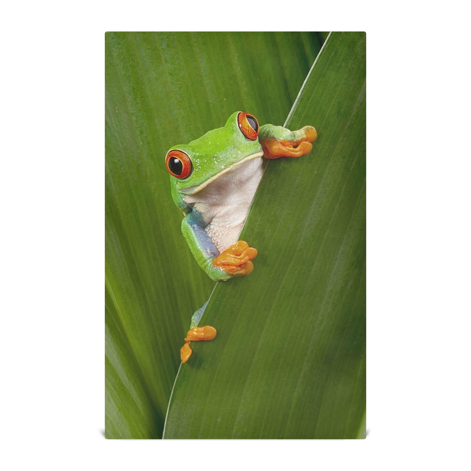 Premium Green Leaf Dish Towels Set - 18