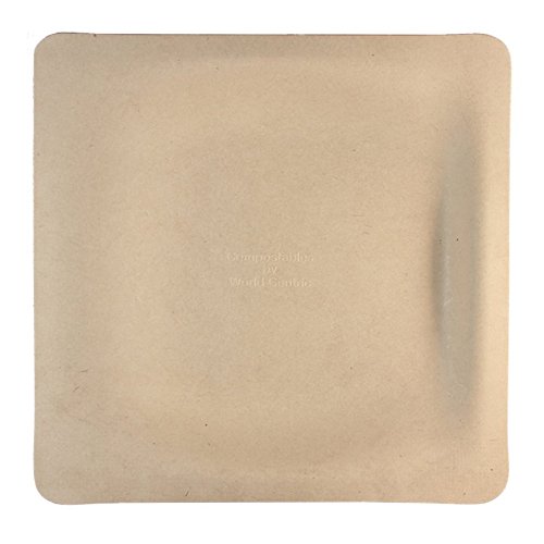 Eco-Friendly 9 Inch Square Plates - Tree Free Plant Fiber Compostable Dinnerware (500 Plates per Case) | Perfect for Parties, Picnics & Sustainable Events