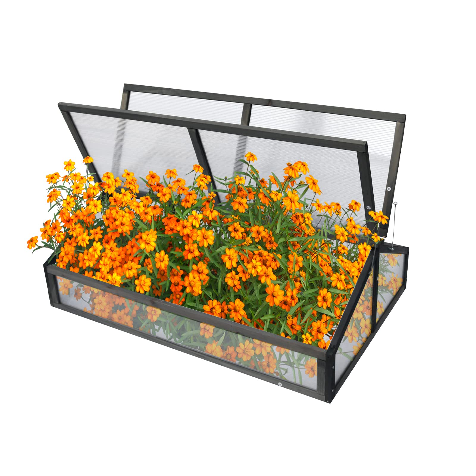 Wooden Cold Frame Greenhouse Cabinet - Portable Mini Greenhouse for Indoor & Outdoor Use - Balcony, Terrace, Backyard Gardening - Perfect for Plants, Flowers, Herbs (46x31x15 Inches) - Ideal for Urban Farming, Home Decor & Small Space Gardening