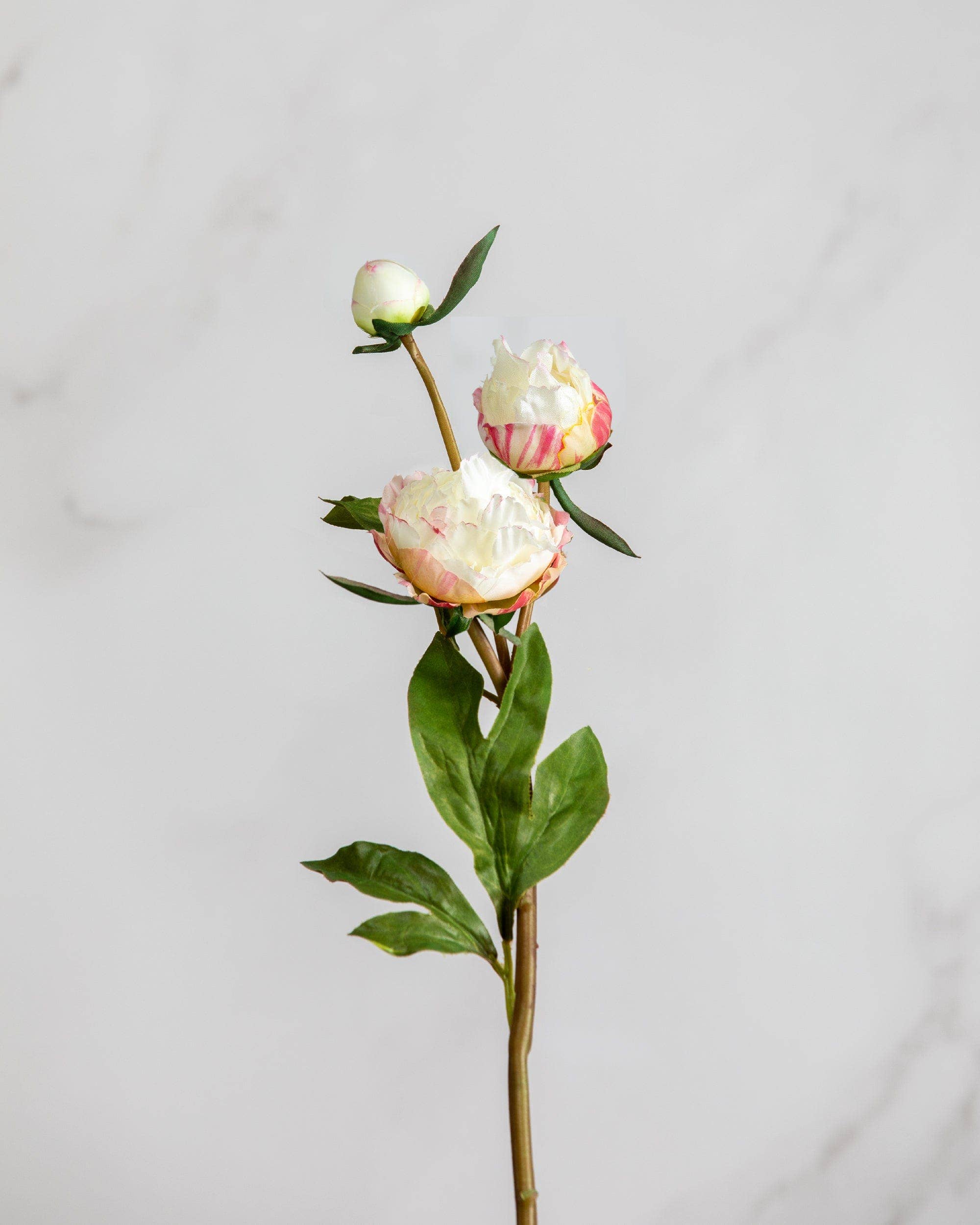 Artificial White and Pink Peony Spray - 19