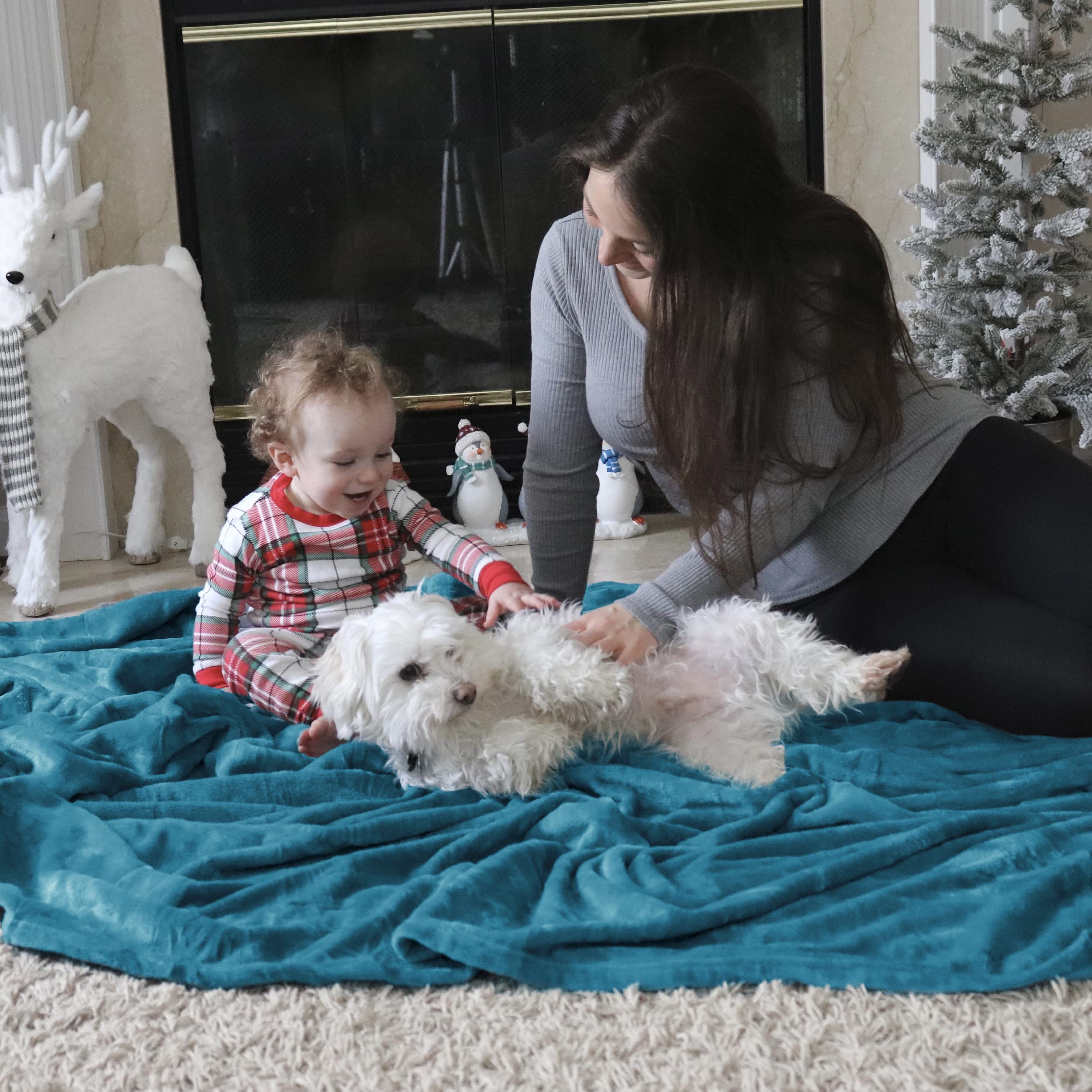 Bedsure 300GSM Fleece Blanket - Ultra Soft & Warm Plush Blanket for Bed, Sofa, Couch | Lightweight & Cozy for Travel, Camping | Twin Size 60x80 Inches | Perfect for Winter Nights, Movie Time & Outdoor Adventures