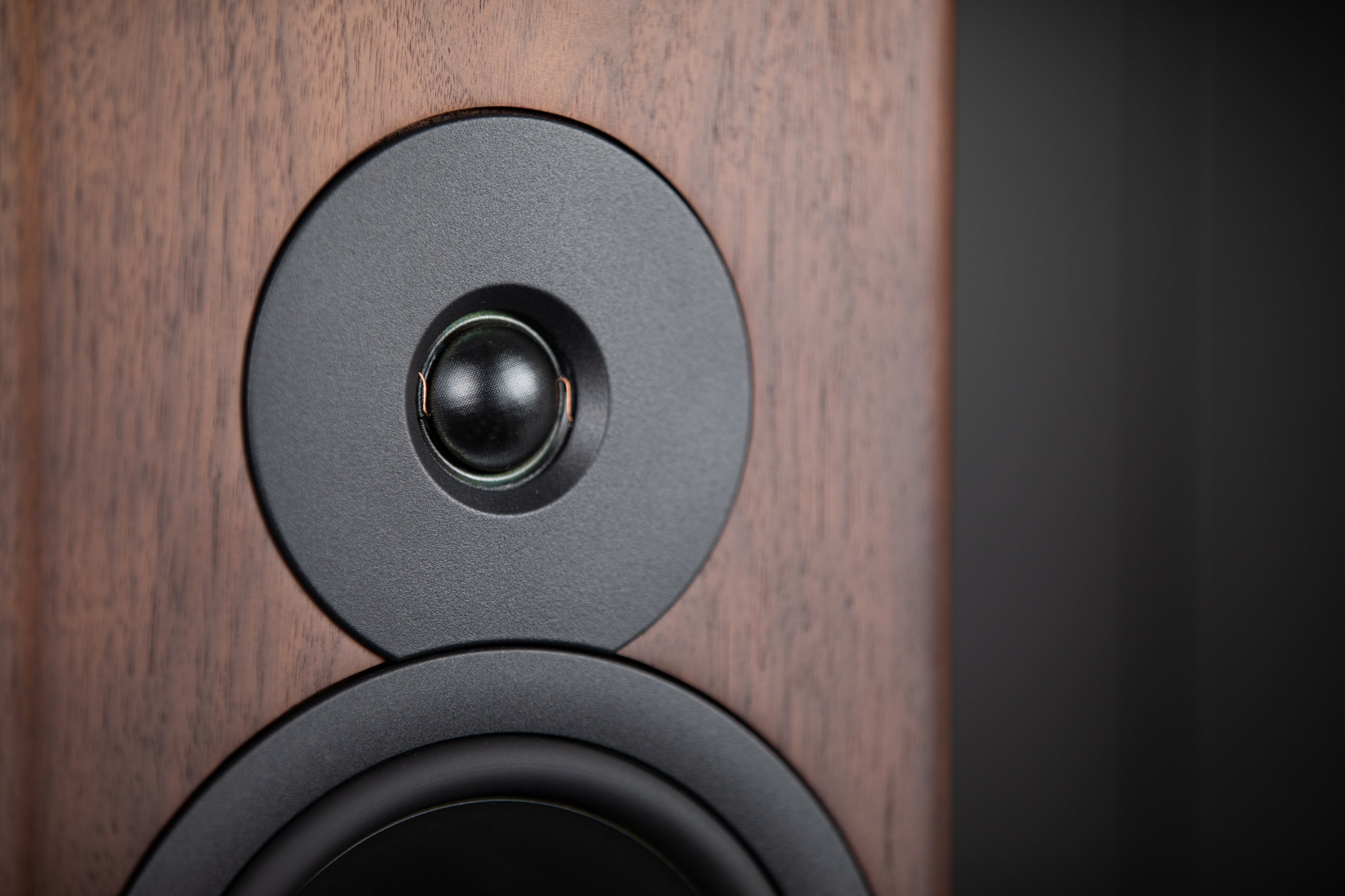 Dynaudio Evoke Passive Bookshelf Speakers - High-End Audiophile Sound for Home Theater & Music Listening | Perfect for Living Room, Studio & Hi-Fi Systems
