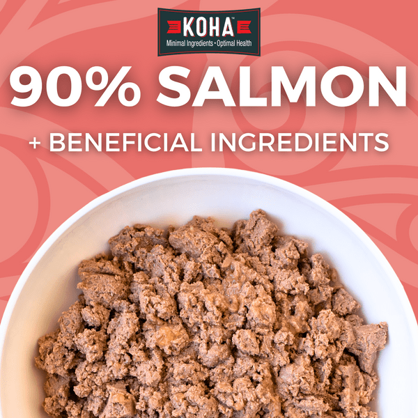 KOHA LID Salmon Entrée Canned Dog Food - Grain-Free, Limited Ingredient Diet for Dogs with Sensitive Stomachs - Perfect for Mealtime, Travel & Emergency Pet Food Supply