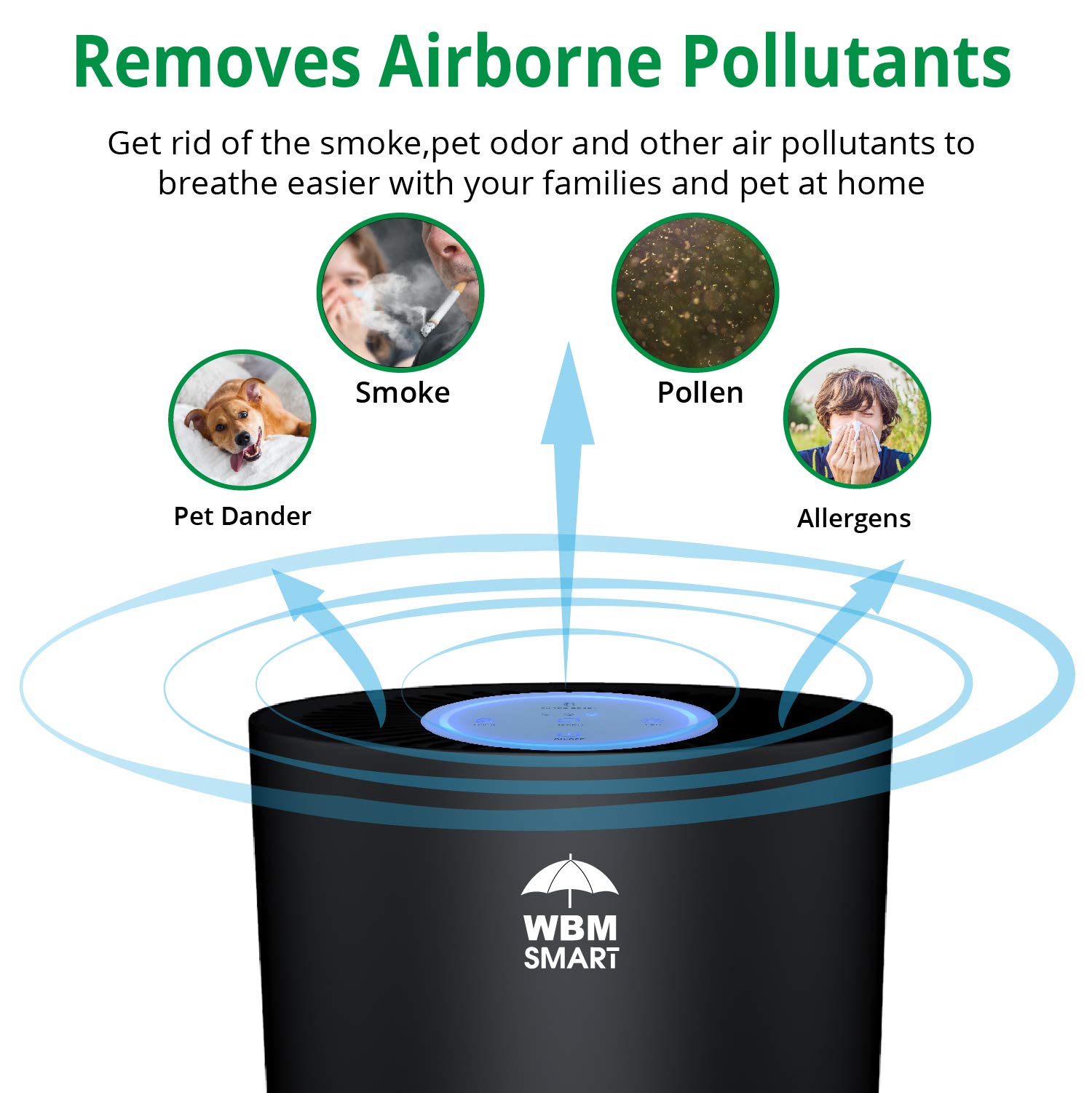 HEPA Air Purifier for Allergies & Pet Dander - Removes Dust, Mold, Pollen, Smoke & Odors - Quiet Bedroom Air Cleaner (Black) - Perfect for Allergy Sufferers & Pet Owners