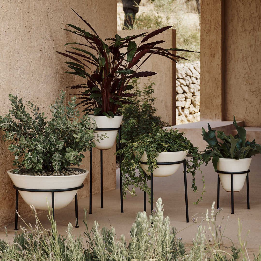 Premium Menu Daiza Planter - Elegant Ceramic Flower Pot for Indoor Plants, Succulents & Home Decor | Perfect for Living Room, Office & Garden Decor