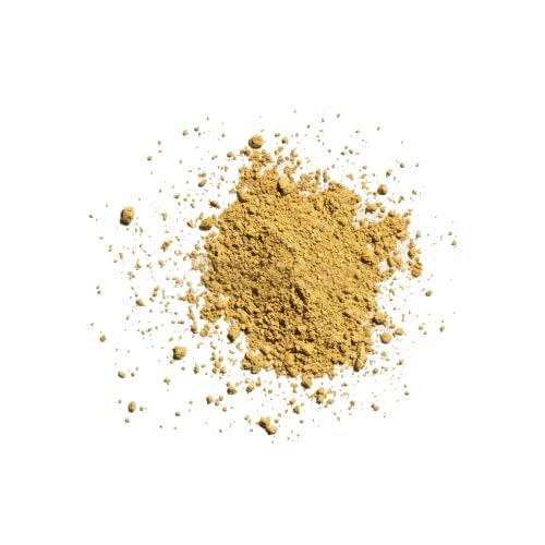 Tan Bronze Complexion with Warm Golden Undertones - Shade #217