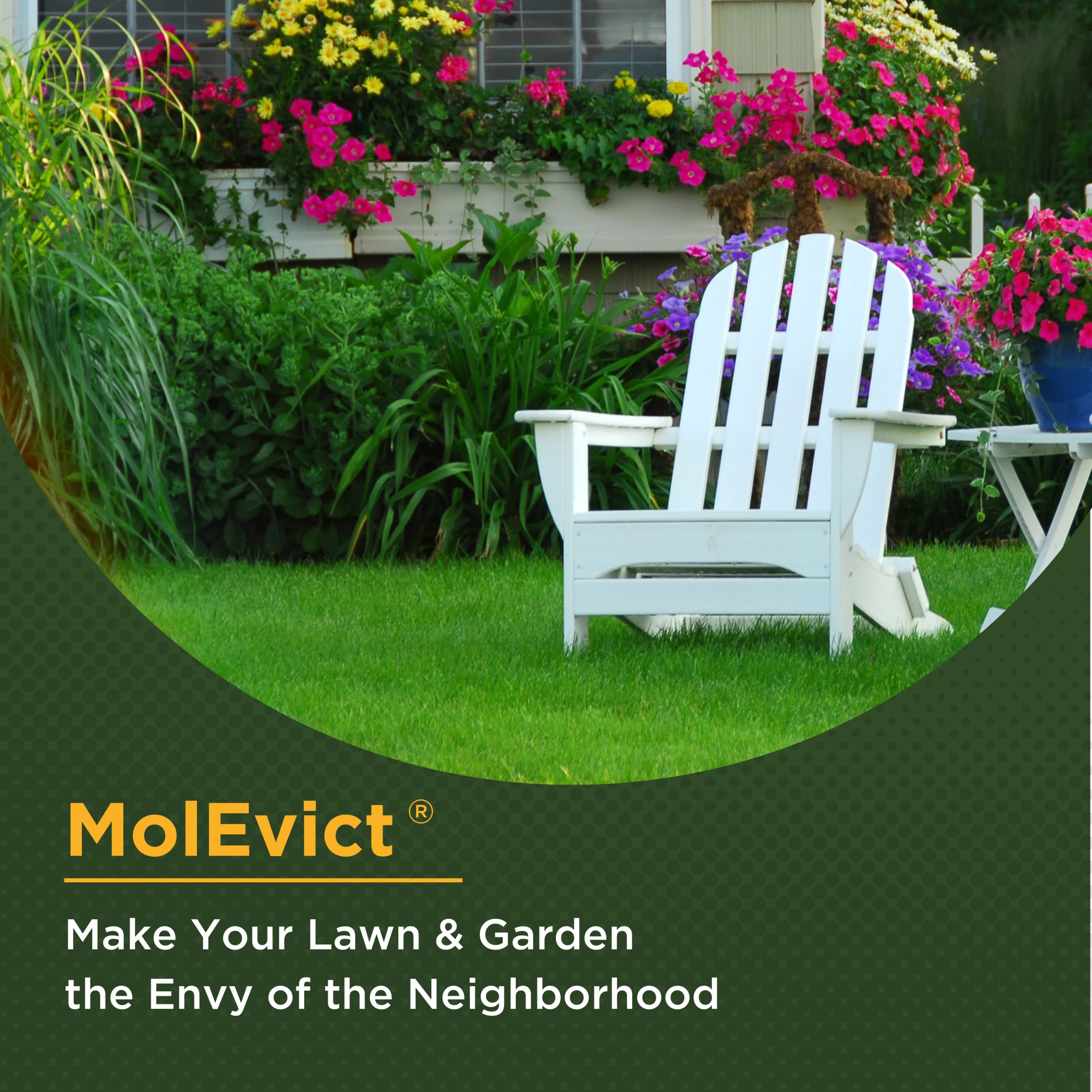 Baar Products MolEvict Lawn Mole Repellent - 5 Gallon Castor Oil Mole & Vole Deterrent for Yard Protection | Covers 100,000 Sq Ft | Pet & Plant Safe | Ideal for Lawns, Gardens, Flower Beds & Landscapes