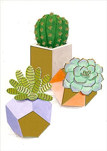 Premium High Note Blank Note Cards - Set of 3 Succulent Designs in Modern Geometric Vases | Perfect for Thank You Cards, Wedding Invitations & Greeting Cards